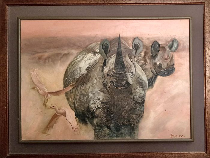 Rinoceronte — Gonzalo Molla, 70 × 49 cm